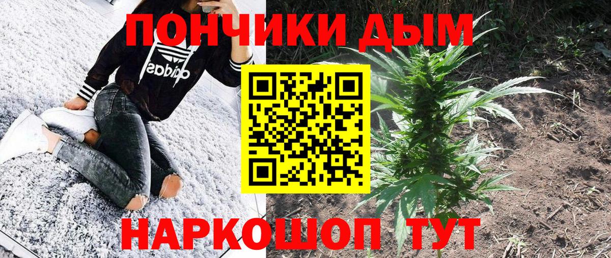 Бошки марихуана AK-47  Каннабис AK-47  Шишки марихуана семена  Вход с VPN  Клин 